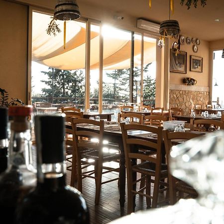 Agriturismo Eco-Bio Belmonte Vacanze Montaione Bagian luar foto