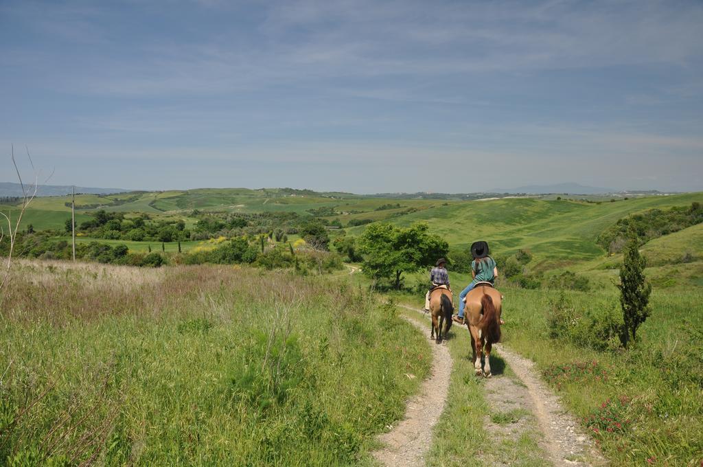 Agriturismo Eco-Bio Belmonte Vacanze Montaione Bagian luar foto