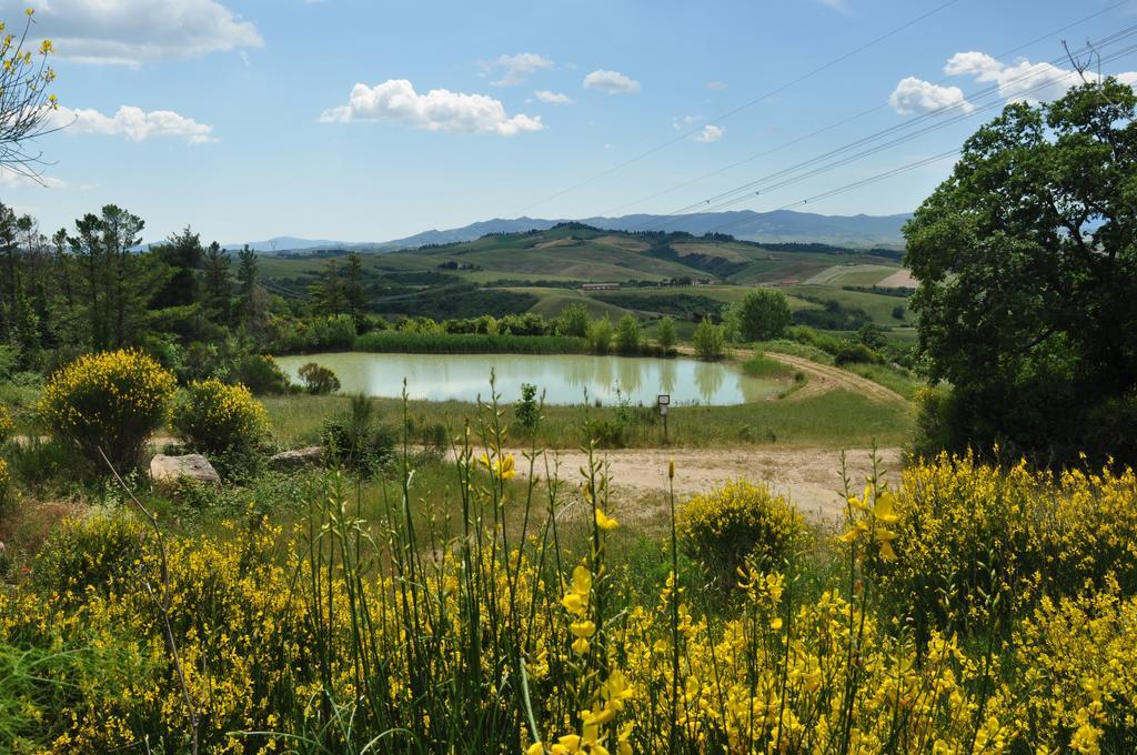 Agriturismo Eco-Bio Belmonte Vacanze Montaione Bagian luar foto