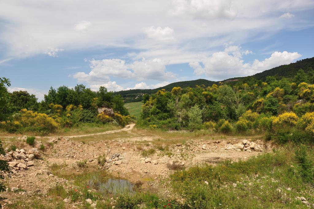 Agriturismo Eco-Bio Belmonte Vacanze Montaione Bagian luar foto