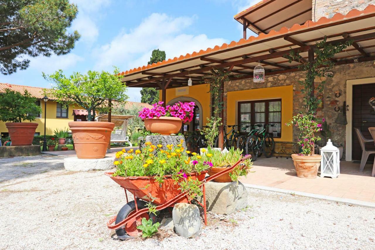 Agriturismo Eco-Bio Belmonte Vacanze Montaione Bagian luar foto
