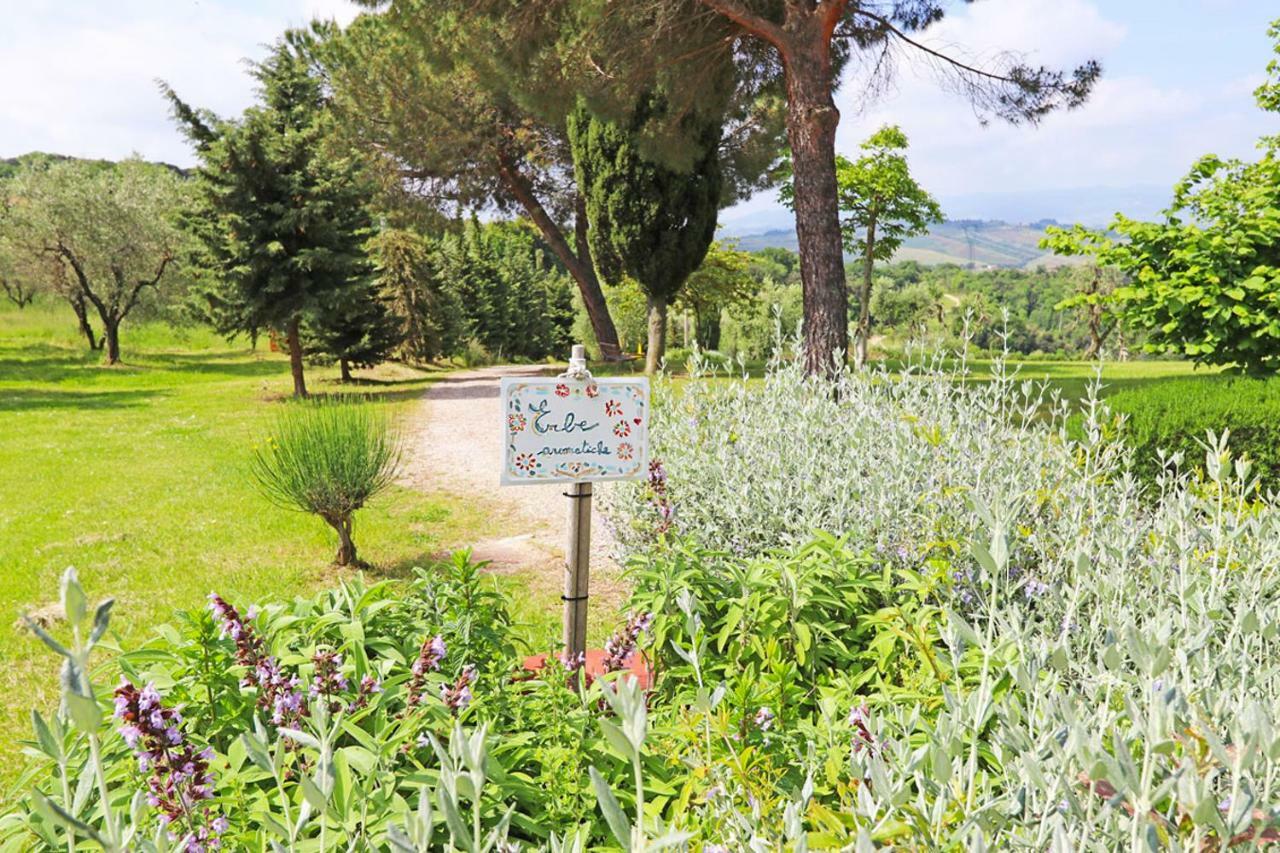 Agriturismo Eco-Bio Belmonte Vacanze Montaione Bagian luar foto