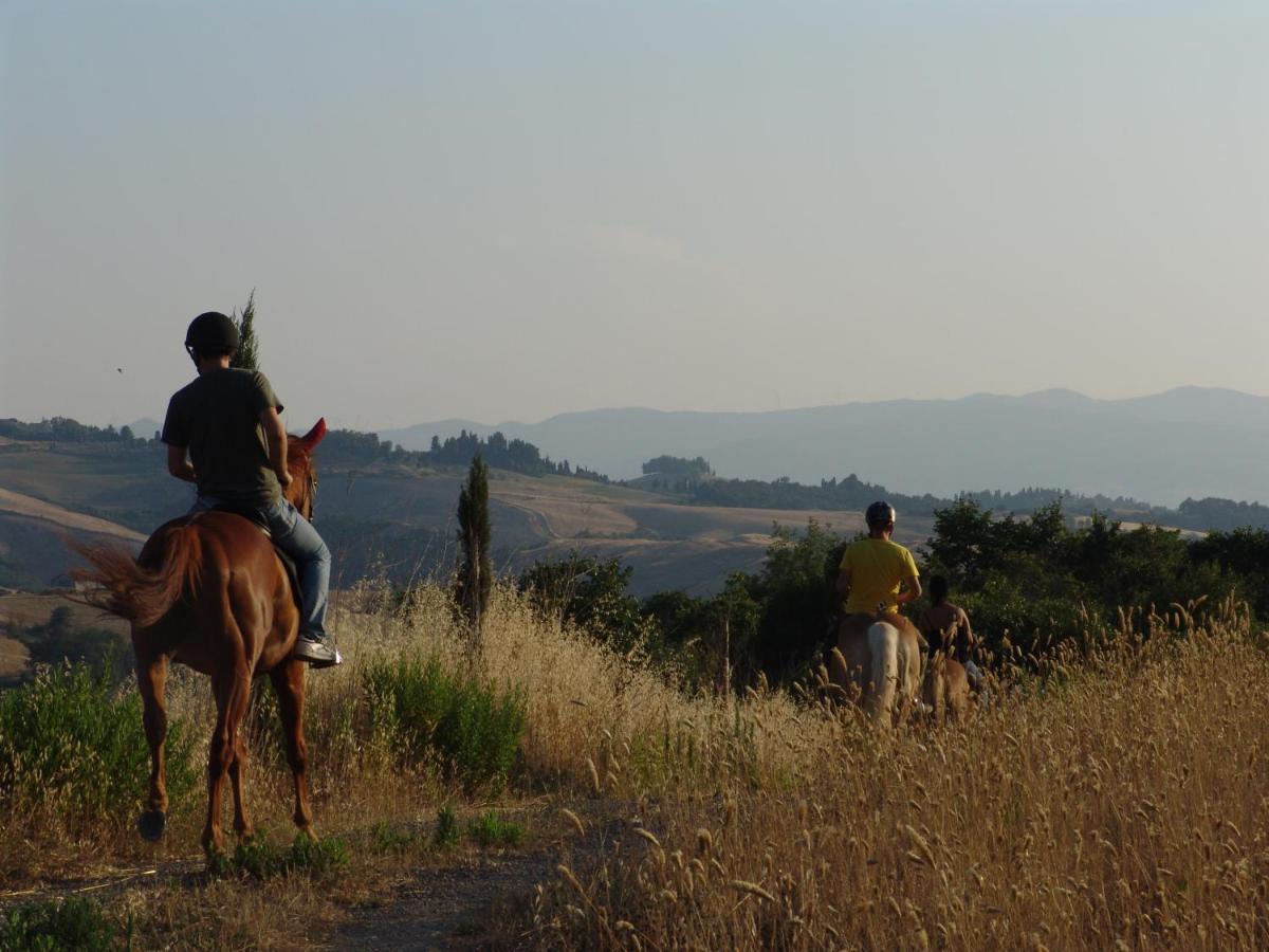 Agriturismo Eco-Bio Belmonte Vacanze Montaione Bagian luar foto
